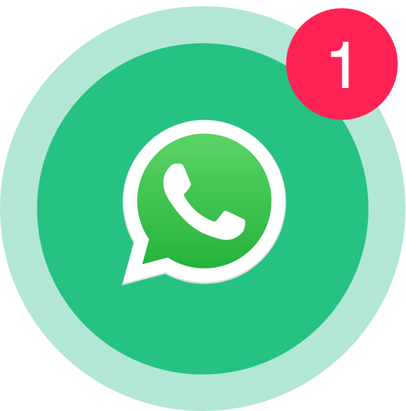 WhatsApp us